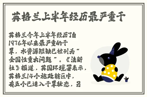 蘑菇视频网站上